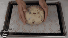 placing the dough daniel hernandez a knead to bake gently bap the dough making julekake