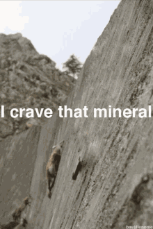 Cravin That Mineral GIF - Craving That Minera Crave That Minerall Mineral GIFs