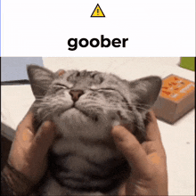 Goober Silly GIF - Goober Silly Silly Cat GIFs