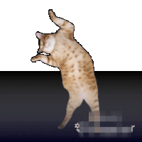 a pixelated image of a cat standing on its hind legs on a black and white background