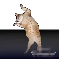 a pixelated image of a cat standing on its hind legs on a black and white background