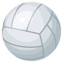 volleyball white