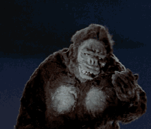 King Kong GIF - King Kong Peekaboo GIFs