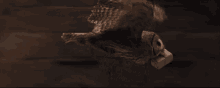 GIF