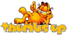 Thumbs Up Garfield GIF - Thumbs Up Garfield GIFs