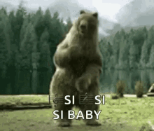 Bear Dance Dancing GIF - Bear Dance Dancing Lit GIFs