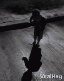 shadow scared fighting self viralhog