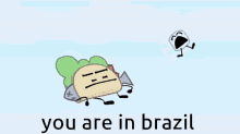 You Are In Brazil In Animate Insanity GIF