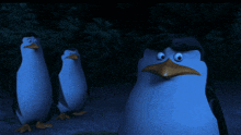 three penguins are standing next to each other and one has a hat on