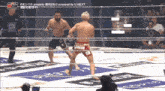 two men are fighting in a boxing ring with the words rizin hot club on the bottom