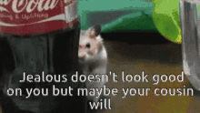Hamster Jealous GIF