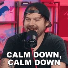 Calm Down Calm Down The Dickeydines Show GIF - Calm Down Calm Down The Dickeydines Show Chill Out GIFs