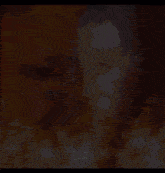 a blurry picture of a man 's face with the words a13a3e1 on the bottom right corner .