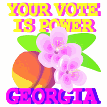 vote georgia
