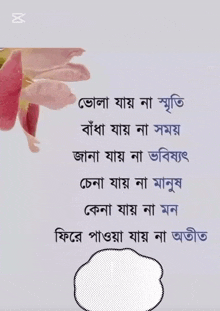 a picture of a pink flower with a caption that says sm solaiman