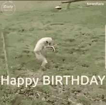 Monkey Happy Birthday GIF - Monkey Happy Birthday Walk GIFs