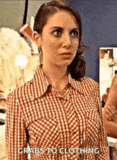 a woman wearing a plaid shirt is standing in front of a mirror and says `` grabs to clothing '' .