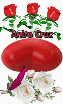 a red heart with the name anita cruz surrounded by red roses