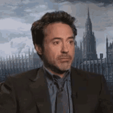 Test 3 GIF - Robert Downey Jr Maybe Mysterious GIFs