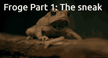 Toad Froge GIF
