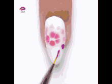 a close up of a nail with pink and purple dots on it
