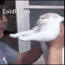 Coldfusion Cute GIF - Coldfusion Cute Kitten GIFs