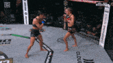 two women are fighting in a boxing ring with a banner that says champions series