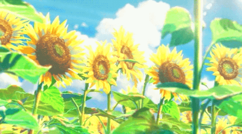 Anime sunflower HD wallpapers | Pxfuel