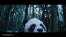 Tropic Thunder Panda GIF - Tropic Thunder Panda GIFs