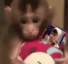 a monkey is holding a picture of a man wearing a bandage on his head