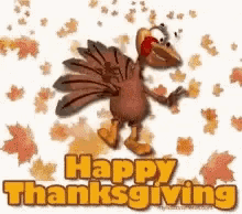 Today Not GIF - Today Not Happy Thanksgiving GIFs