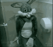 Evil Rabbit GIF - Evil Rabbit Bathroom GIFs
