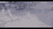 a blurry picture of a person sitting in a chair on a patio next to a pool .