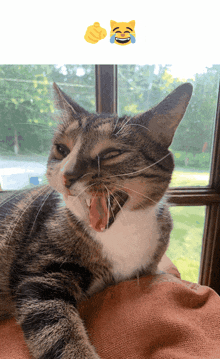 a cat with its mouth open and a laughing face on the bottom