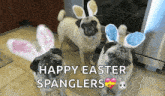 Funny Animals Happy Easter GIF - Funny Animals Happy Easter Easter Pugs GIFs