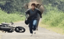 Run Elephant GIF - Run Elephant Chase GIFs