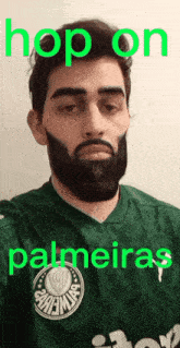 Hop On Palmeiras Xandao GIF - Hop On Palmeiras Xandao Palmeiras Xandao GIFs