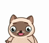 a cartoon cat is standing in the air with its arms outstretched and a bunch of colorful candy flying around it .