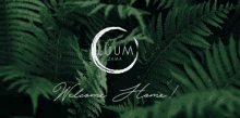 Tulum Luum GIF - Tulum Luum Zama GIFs