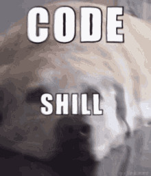 Code Shill GIF - Code Shill GIFs