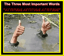 Attitude Navyseal GIF