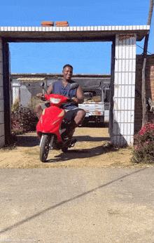 Bobo Moped GIF - Bobo Moped Happy GIFs