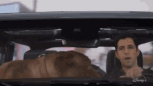 Driving With Dog Scott Turner GIF