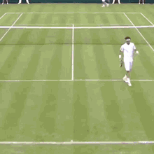Fabio Fognini Wimbledon GIF - Fabio Fognini Wimbledon Fall GIFs