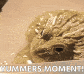 a picture of a frog with the words " yummers moment " below it