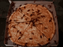 cockroaches pizza