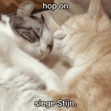 Hop On Siege Stijn GIF - Hop On Siege Stijn GIFs