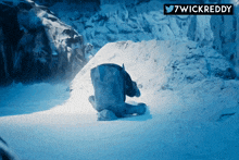 a picture of a polar bear in the snow with 7wickreddy on the bottom right