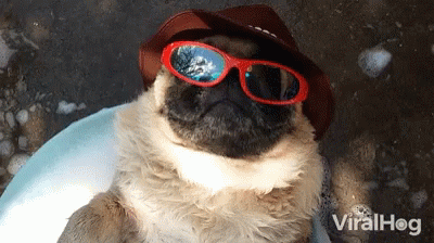 Chilling Laid Back GIF - Chilling Laid Back Sunglasses - Discover