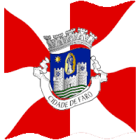 a red and white flag with a coat of arms that says cidade de faro on it